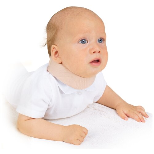  ORTO       ,  1, 2.7 ,  28 , ,   588 