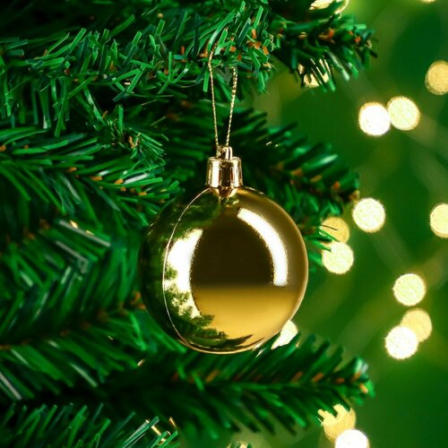 ���� ���� ������� �������, ���������� ���� ���, ����� ����� 6 �� 7�� �������, ������, ������ �� 366 ���