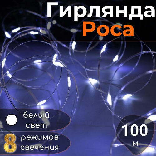 ���� �������� ���� � ������� ���������� 100�, ������������, ������� �� ����, ����������� ������, ��������, ����� ����, ������ �� 1599 ���