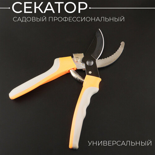 ���� �������-�������� ������� ����������� (� ����������� ��������� � ����������) XP-12080 