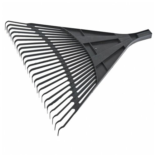 ���� ������ ������� �����������, 600 ��, 24 ������� ����, ��� �������, ������, �������, ������ �� 483 ���