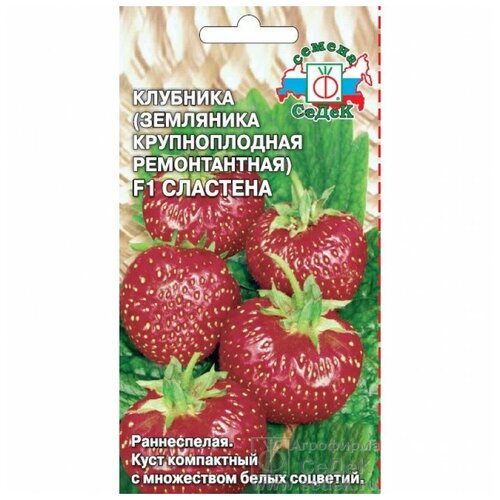 ���� ������ �������� (��������� ������������� ������������) 