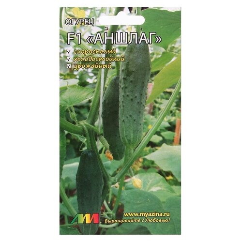 ���� ������ ������ �.�. ������ ������ F1 8 ��, ������ �� 133 ���