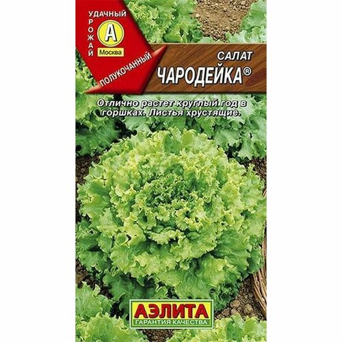 ���� ������ ����� ��������� ��, ������������ (������) 0,5�, ������ �� 41 ���