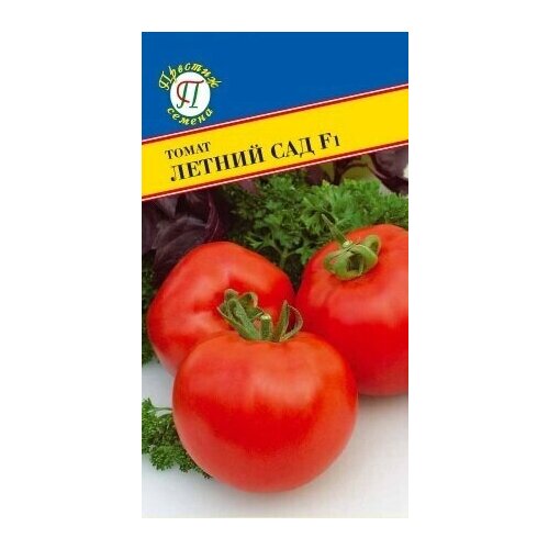 ���� ����� ������ ��� F1. ������. ������ ������ ��� ���� ����� ������ � ��������� ������. �������� ������� 60-120 ��. ����� �����������, ������ 150-170 ��, ��������, ����-�������, ������ �� 950 ���