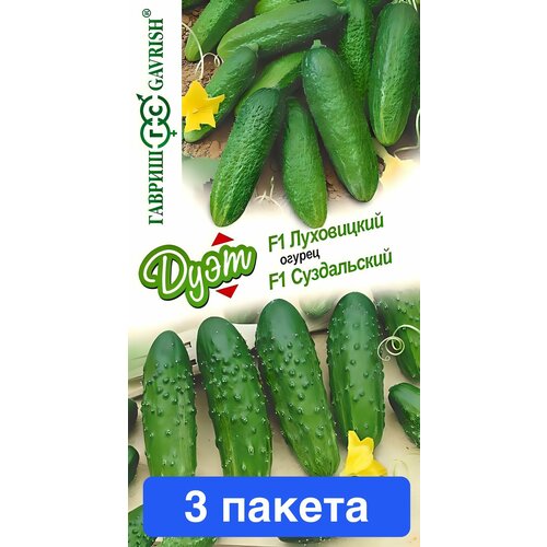 ���� ������ ������ ������ 