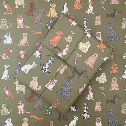 ���� ������� ����������� ������ 