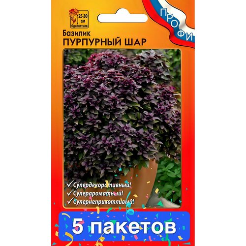 ���� ������ ������ � ��������� ������� ������ 