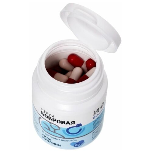 ���� ������� ����� �������� � �-���������, �������, ������� ���, ������� ������ 