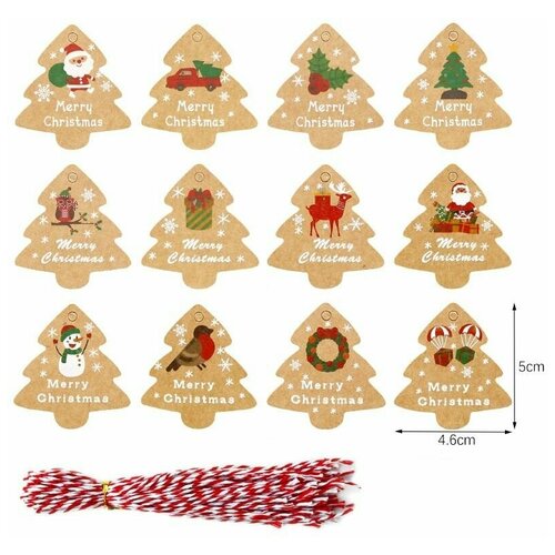 ���� ���������� �������� ��� �������� �� ��������� � ����� ���, ������ ����� 48 ��, ������ �� 348 ���