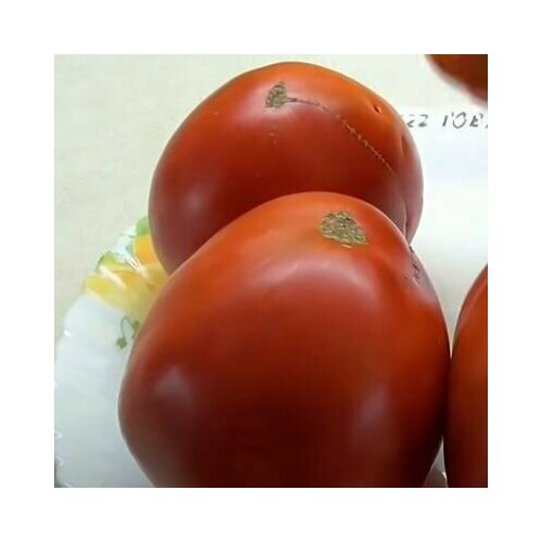 ���� ������������� ������ ������ �������� � �����, ������ �� 127 ���