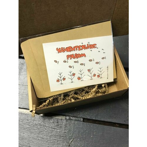 ���� �������� 