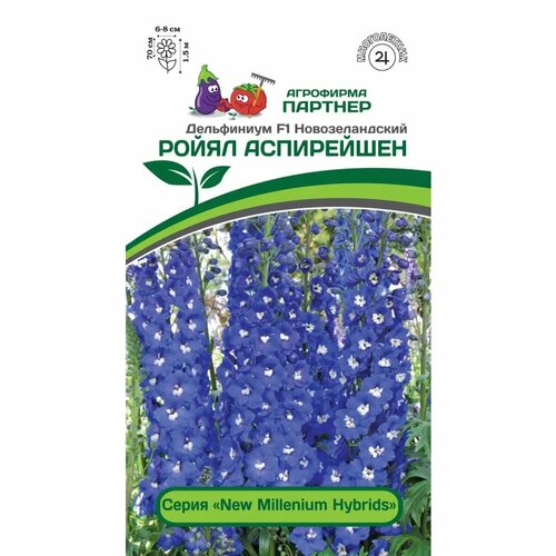 ���� ������� ���������� 