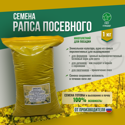 ���� ������ ����� - 1 �� ������������, ������ �� 423 ���