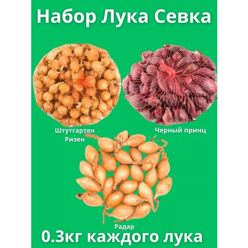 ���� ����� ��� ����� 0.3 ��, ������ �� 500 ���