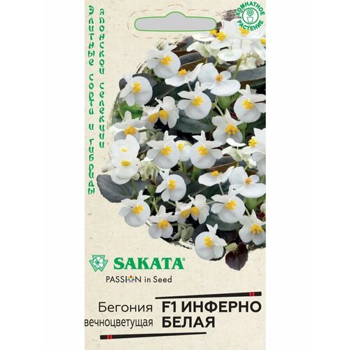 ���� ������. ������� 