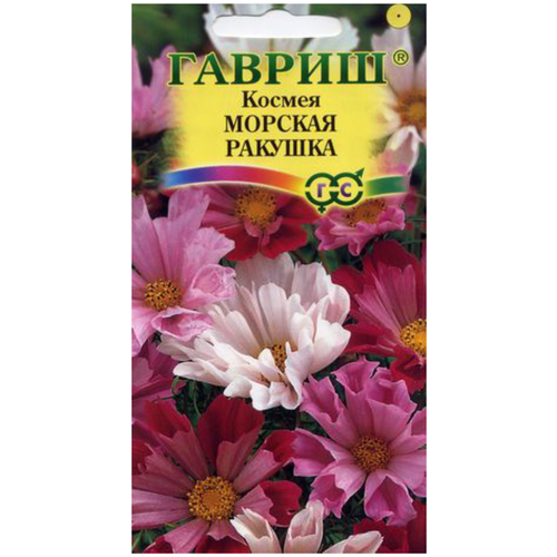 ���� ������ ������ ������� �������, 0,3�, ������, ��������� ���������, 10 ��������, ������ �� 43 ���