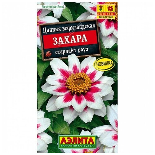 ���� ������. ������ 