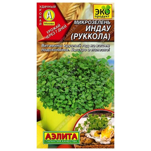 ���� ������ ��������� ������ ����������� ������� 5 �, ������ �� 222 ���