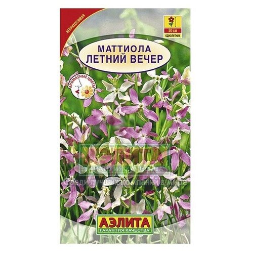 ���� ������� �������� 