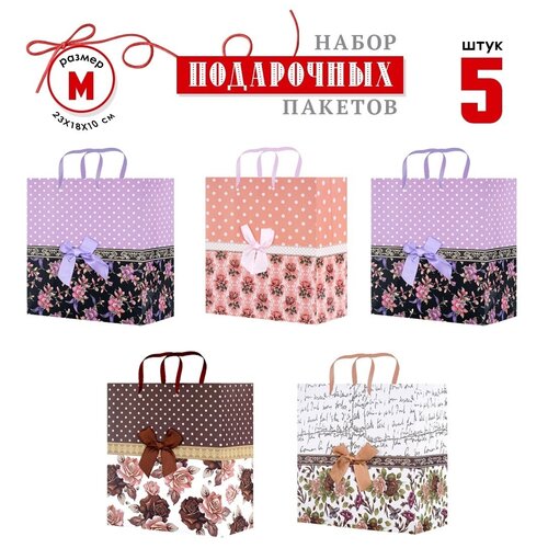 ���� ���������� ������ 