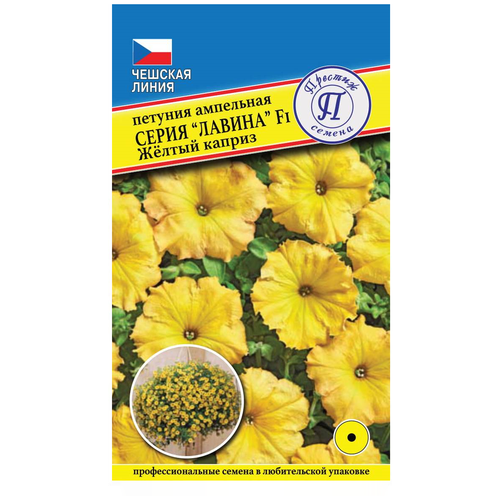  / /        F1,   213 