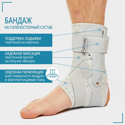 ���� Glanis ������ ������������� � ������� ��������� ����������, �����, ������ M, ������ �� 2103 ���