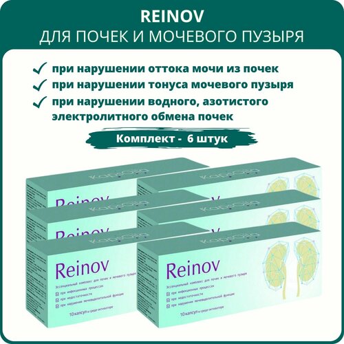 ���� Reinov Kaps�ila (������ ��������) - �������� ��� ����� � �������� ������, 10 ������, ����� 6 ����, ������ �� 2839 ���