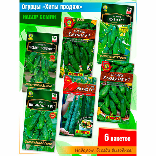 ���� ����� ����� ������� 