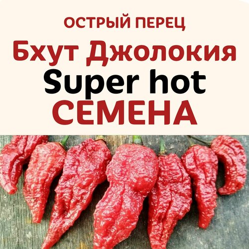 ���� ������ ����� ������ ���� �������� Super hot, ������ �� 450 ���