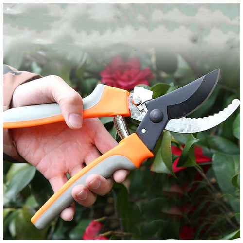 ���� ������� ������� ������������� ������������� ���������� ���������������� ��� ���� ������� � ����, ������ �� 467 ���