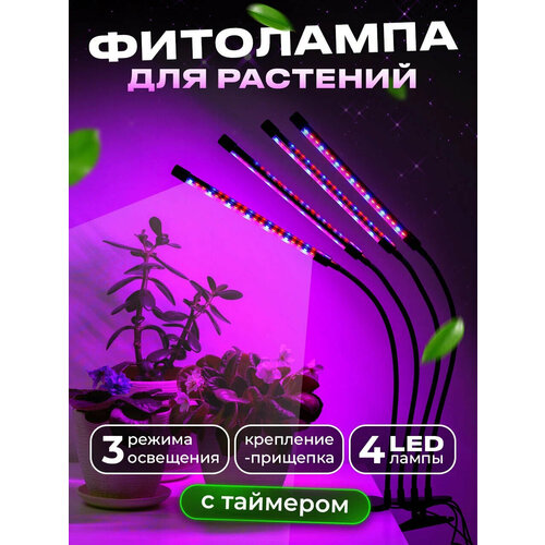 ���� ��������� 