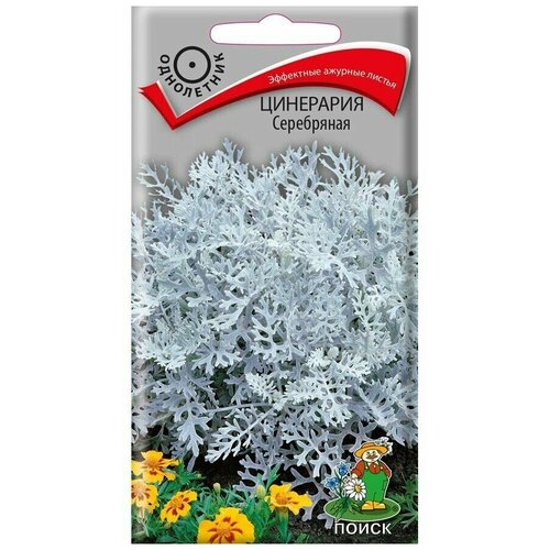 ���� ������ ��������� ���������� 0,2��., ������ �� 220 ���