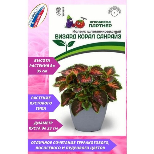 ���� ������ ������� ��������������� 