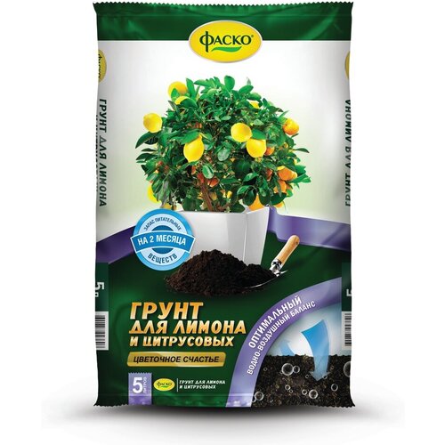 ���� ����� ��� ������ � ���������� ����� ��������� �������, 5 �, ������ �� 376 ���