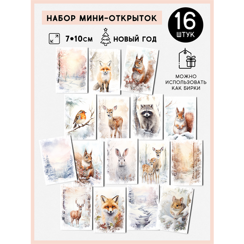 ���� ����� ����-�������� ����� 