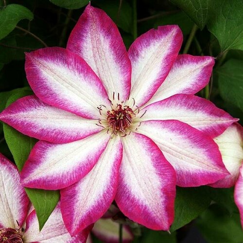 ���� ������ �������� ��������������� ������ 0,05 � (1 ��������), ������ �� 403 ���