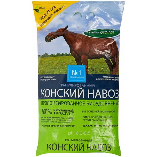 ���� ������ ���� ��������� ������ ���� ������� ����� ���������������, 2 ��, ������ �� 499 ���