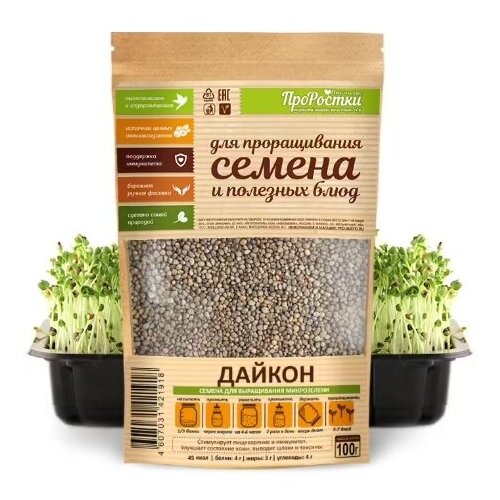 ���� ������ ������ �����������, 100 �, ������ �� 570 ���