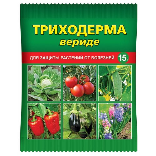 ���� ���� ��������� �������� ��� ������ �������� �� �������� ���������� ������, 15 �, ������ �� 72 ���