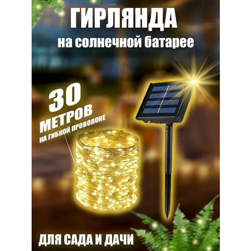 ���� �������� ������� �� ��������� ������� ��� ���� 30 ������, ������ �� 798 ���