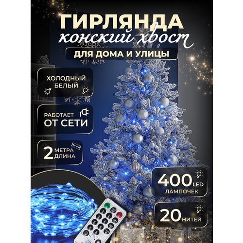 ���� �������� 