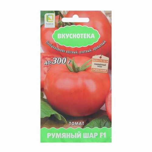 ���� ������ ����� 