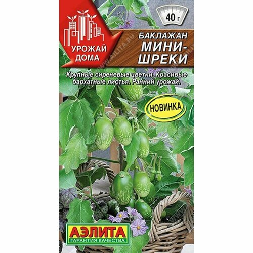 ���� ������ �������� ����-����� (������) 10�� ������ ����, ������ �� 62 ���