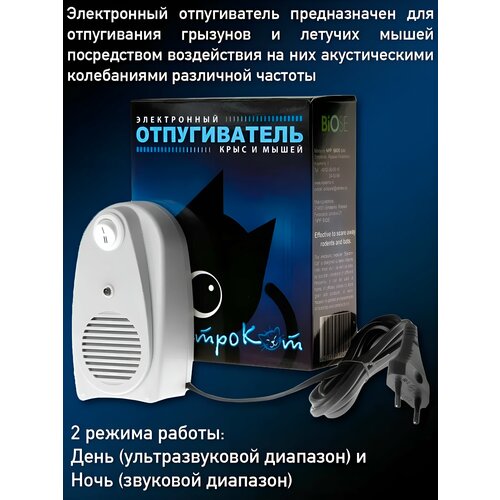 ���� ������������ ����� �������������� ���������� �������, ������ �� 1550 ���