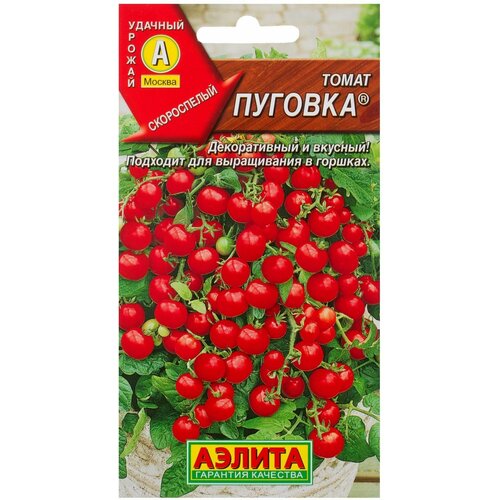 ���� ������ ����� �������, ������ �� 212 ���