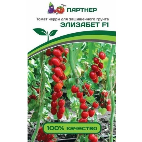 ���� ������ ����� ����� 