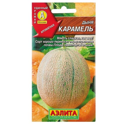 ���� ��������� ������ ������ ���� 