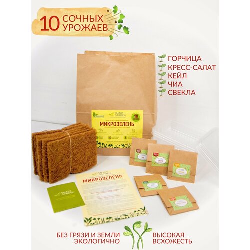 ���� ����� ��� ����������� ����������� 10 �������, �����������, �����, ������ �� 912 ���