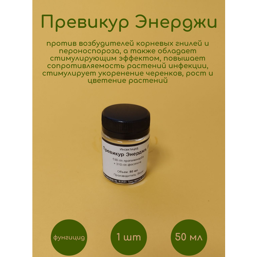 ���� �������� �������� ������� 50 ��, ������ �� 590 ���